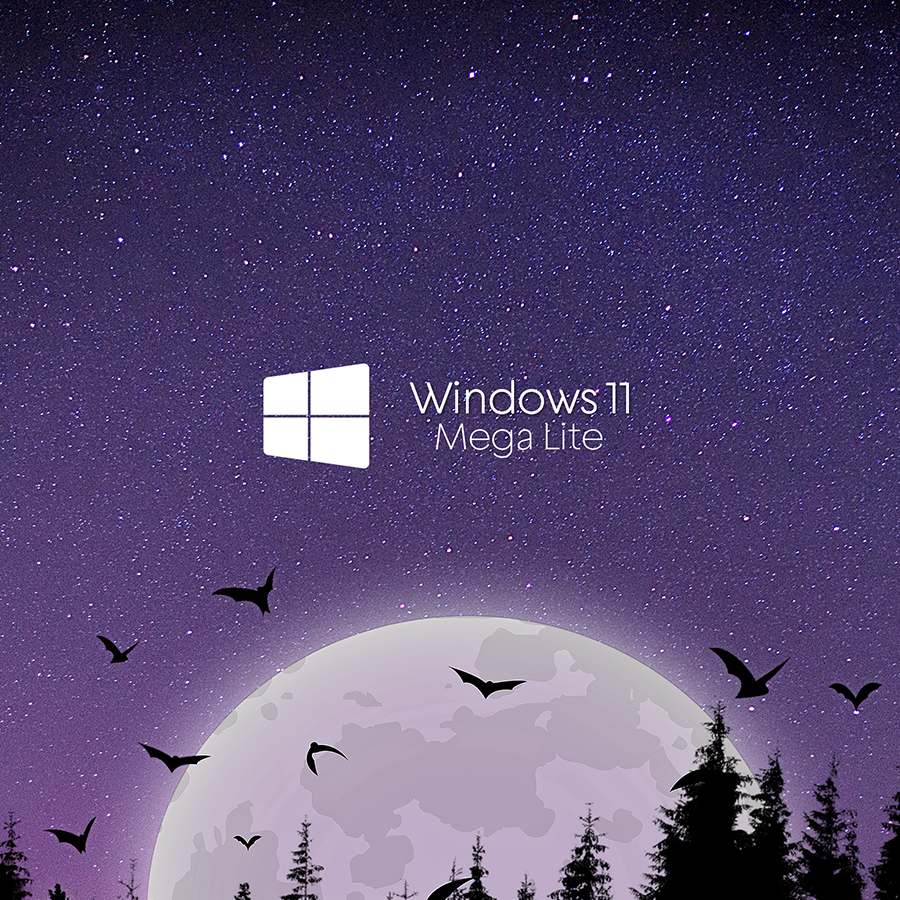 Patch de Otimização Windows 11 Mega Lite + Informática Básica